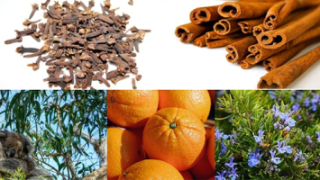 Schützende Mischung